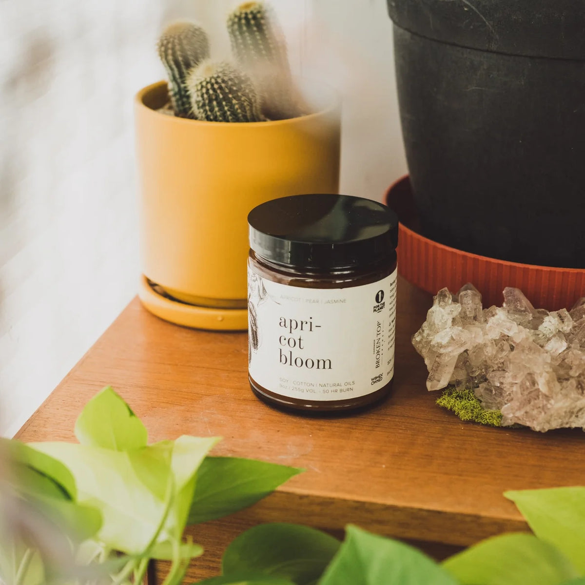 Apricot Bloom Natural Soy Candle 9 oz