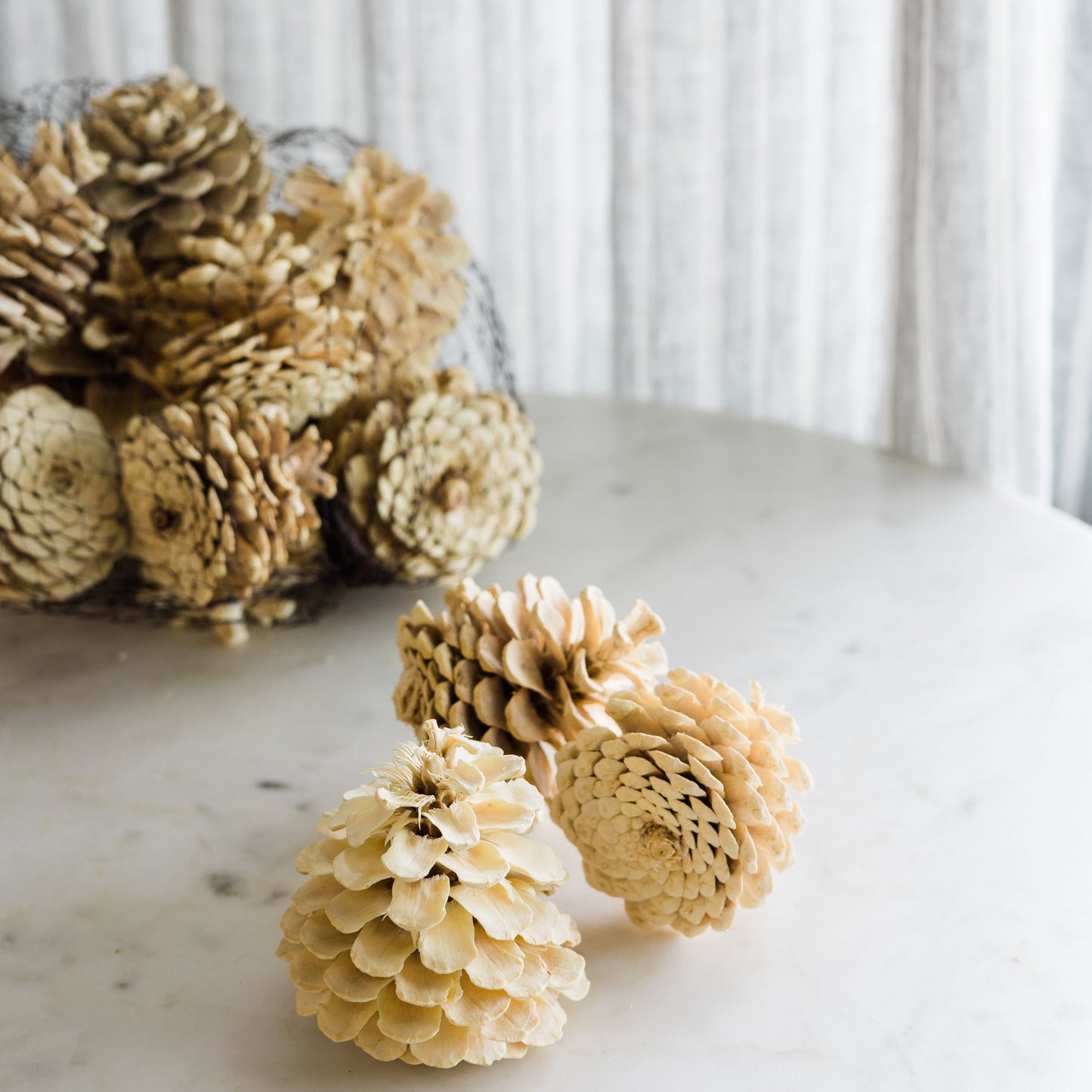Bleached Pinecones, Set of 15