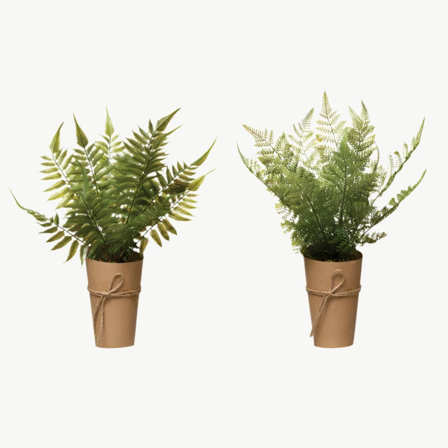 Faux Fern in Paper Wrapped Pot