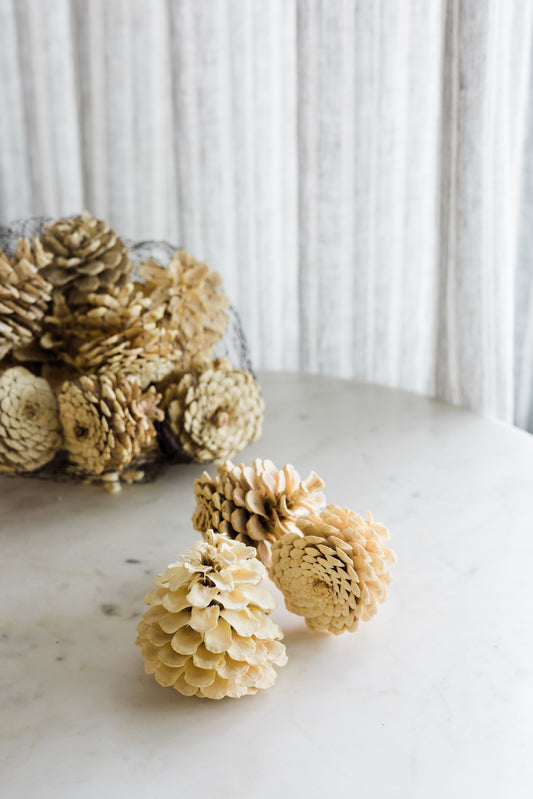 Bleached Pinecones, Set of 15