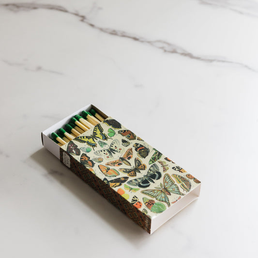 Matches - Butterfly Specimens
